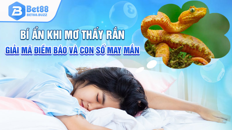 mơ thấy rắn