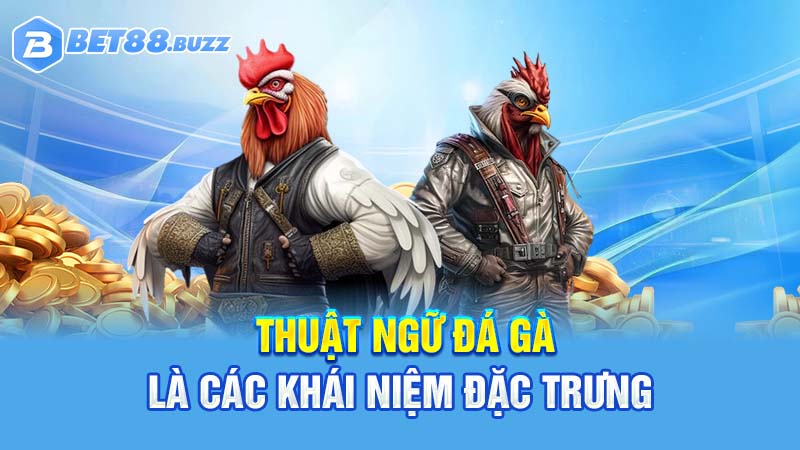 Thuật ngữ đá gà